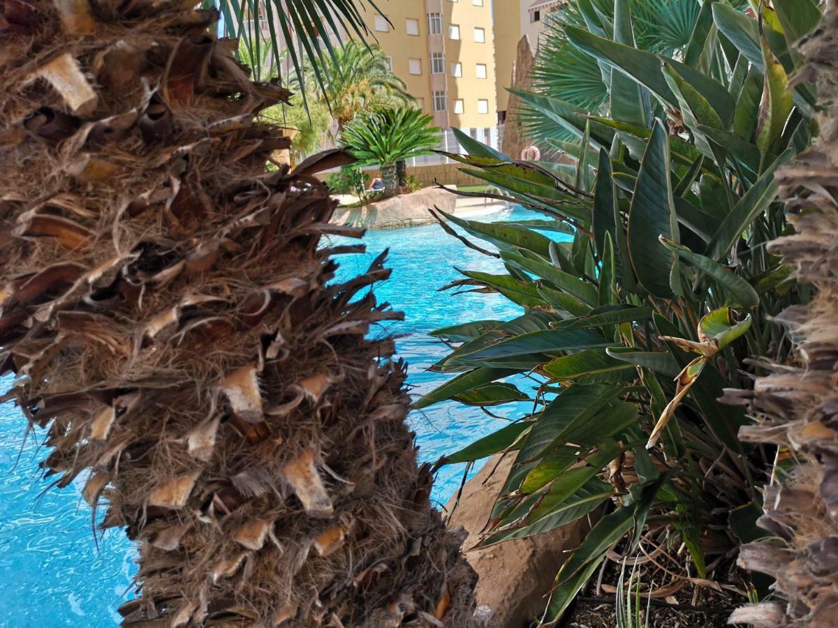 "El Remanso" Daire La Manga del Mar Menor Dış mekan fotoğraf